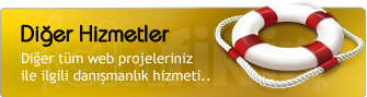 Web Danışmanlık ve diğer web hizmetleri.