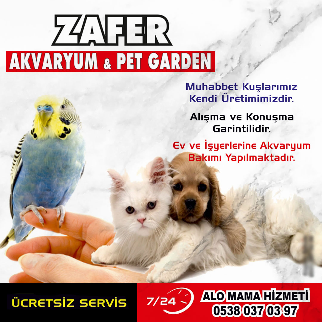 ZAFER Akvaryum & Pet Garden