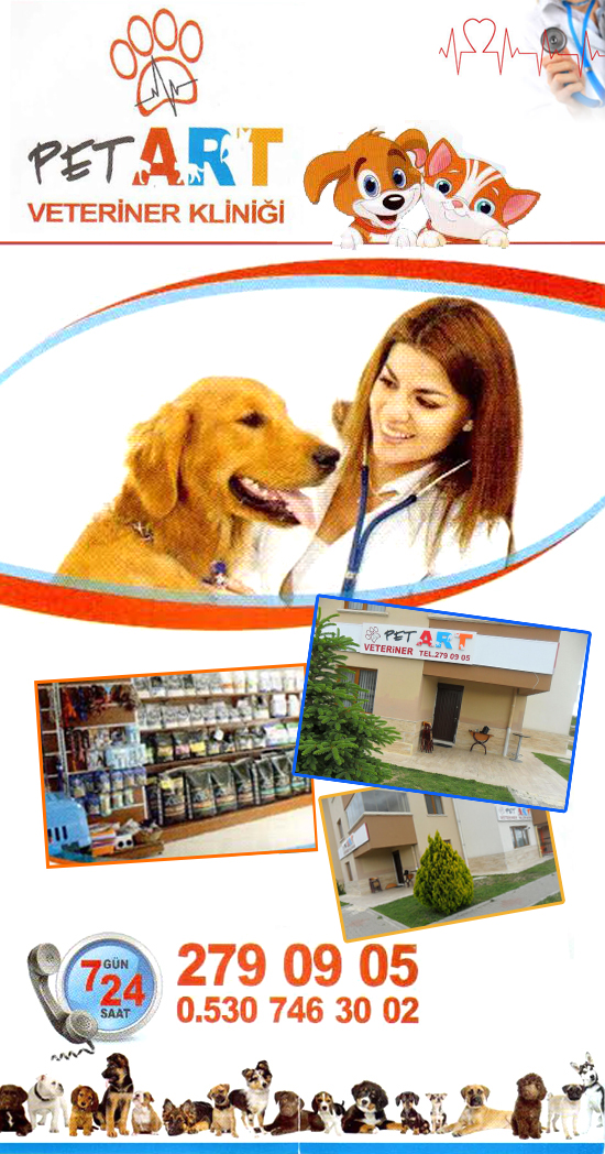 Pet Art Veteriner Kliniği