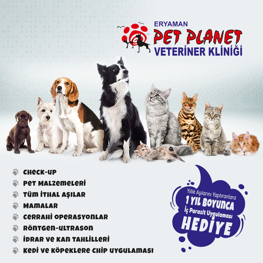 Pet Planet Veteriner Kliniği Eryaman