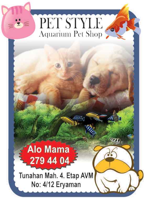 Pet Style Eryaman
